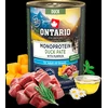 Ontario Adult Monoprotein Antienos paštetas su Moliūgu 400g