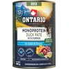 Ontario Adult Monoprotein Antienos paštetas su Moliūgu 400g