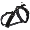 Trixie Premium trackking supenders, M: 53-64 cm / 20 mm, juoda / grafiti