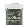 La Riché Directions Semi-Permanent Conditioning Hair Colour Fluorescent Žalias, 88 ml