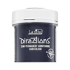 La Riche Directions Wisteria plaukų dažų indelis 88 ml