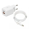 iBOX C-42 GaN PD33W Sieninis pakrovėjas, Baltas
