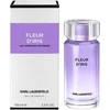 Karl Lagerfeld Fleur D'Iris EDP parfumuotas vanduo vyrams, 100 ml