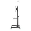 Laikiklis Sbox FS-446-2 (37-70/70kg/600x400)