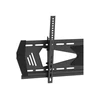 StarTech Sieninis laikiklis FPWTLTGET 37 "- 75" '