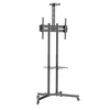 TV laikiklis Techly ICA-TR216T, 37-70"