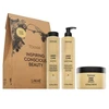 „Lakme Tkn“ mažmeninė pakuotė „Deep Care“: šampūnas, 300 ml + kondicionierius, 300 ml + priemonė, 250 ml