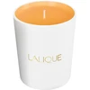 Lalique Les Compositions Parfumees - Saldžiojo ambra kvapioji žvakė, 190 g