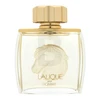Lalique Pour Homme Equus for Men (Kvepalai Vyrams) EDP 75ml