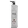 L’ANZA ColorCare Sidabrinis Brightening Conditioner, 1000 ml