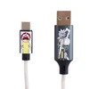 Rick Morty Šviečiantis laidas Lazerbuilt Rick and Morty USB A to USB C