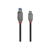 USB Laidas - LINDY Anthra Line USB 3.2 Type C į B Laidas, M/M, 5Gbp, 0.5 m, Juodas