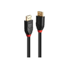 DisplayPort Kabelis - LINDY Aktyvus DisplayPort 1.4 Kabelis, 5 m, Juodas