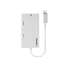 I/O KONVERTERIS USB-C Į DISPLAY/43273 LINDY