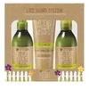 Little Green Little Žalias Little Žalias Lice Guard System apsaugos nuo utėlių sistema vaikams (šampūnas, 240 ml + purškiklis, 240 ml + gelis, 125 ml)