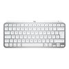 Belaidė klaviatūra Logitech MX Keys Mini skirta Mac, Blyškiai pilkos spalvos (US)