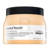 L'Oréal Professionnel Série Expert Absolut Repair Gold Quinoa + Protein Masque plaukų kaukė, 500 ml