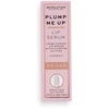 Makeup Revolution Rehab Plump Me up Oranžinis Lip Serum Glaze - 4.6ml