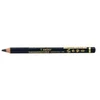Max Factor Eyebrow Pieštukas 01 Ebony 4 G