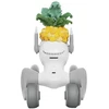 Megztas kostiumas Loona Premium Pineapple