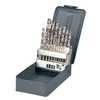 Grąžtas Metalo gręžimo rinkinys HSS-G 1-10 mm 19gb Proline