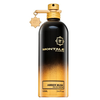 Montale Paris Montale Amber Musk EDP parfumuotas vanduo Unisex, 100 ml