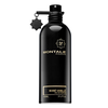Montale Paris Montale Boise Vanille EDP 100 ml