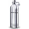 Montale Paris Montale Fougeres Marine EDP parfumuotas vanduo Unisex, 100 ml