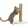 TRIXIE Junior draskyklė stulpas, 42cm, mėtų