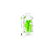 Nailmatic Błyszczyk vaikams Apple 6.5 ml