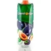 Nektaras ELMENHORSTER, slyvų, 1 l