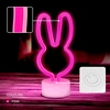 Neon LED ant stovelio Triušis rožinė USB-C FSC-10 Forever Light