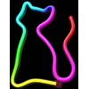 Neoninis LED RGB CAT FLRN03 + RC Forever Light