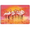 Newill Placemat 43.5x28cm flamingo