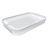 NHG Plastikinė dėžutė maistui užšaldyti Plast Team 1.5l/29.5x19x3.9cm Helsinki