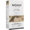 Noah , Permanent Hair Colour, Permanent Hair Dye, 8.0 Light Skirtas šviesiems plaukams, 140 ml For Women