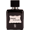 Nylaa Genial Attitude EDP parfumuotas vanduo vyrams, 100 ml