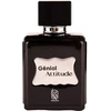 Nylaa Genial Attitude EDP parfumuotas vanduo vyrams, 100 ml