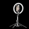 Blavec Selfie Ring lamp Aura LED Ring P-55 25cm tripod + remote control + 2,3 metres (RLP55-TRB23) juodos spalvos