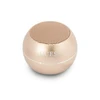 Guess kolonėlė Bluetooth GUWSALGED Speaker mini auksinis