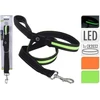 Oem Pets Collection Švytintis LED pavadėlis šuniui, oranžinis, 120 cm