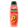 Šampūnas Palmolive Hydra Balance 2in1 350ml
