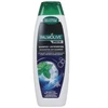 Bikuva.lt Šampūnas Palmolive Men Anti-dandruff 350ml
