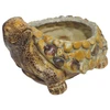 Besk DIANA Sodo dekoracija/vazonas Tortoise 23x17x13cm