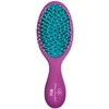 Olivia Garden Mini Detangler Violetinė OGM-D01