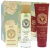Panier Des Sens Renewing Grape gift set exfoliating soap 150 g + dry body oil 100 ml + firming body cream 140 ml