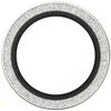 Panzer Glass Grūdintas stiklas na objektyvas PanzerGlass Hoops Glitter do iPhone Air sidabrinė