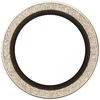 Panzer Glass Grūdintas stiklas na objektyvas PanzerGlass Hoops Glitter do iPhone Air auksinė