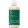 Spalvą išsaugantis kondicionierius dažytiems plaukams Paul Mitchell Tea Tree Special Color Conditioner 300 ml