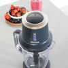 Petra PT5393BGRYVDE Cordless Jug plakiklis
